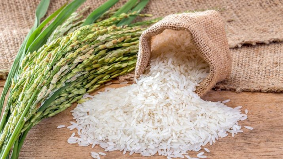 rice